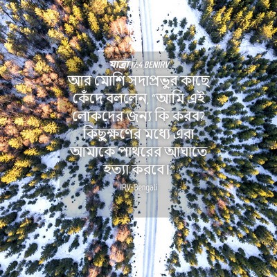 Picture 04 - যাত্ৰা 17:4 BENIRV - আর মোশি সদাপ্রভুর - Bible Verse Picture