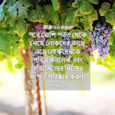 Picture 04 - যাত্ৰা 19:14 BENIRV - পরে মোশি পর্বত - Bible Verse Picture