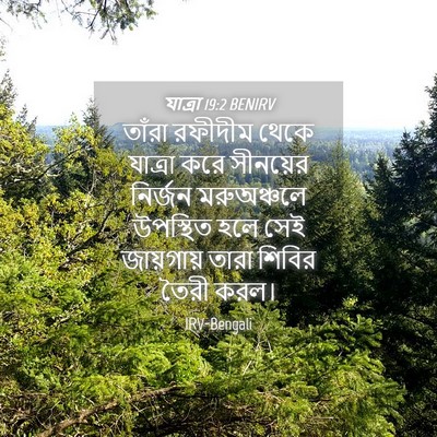Picture 04 - যাত্ৰা 19:2 BENIRV - তাঁরা রফীদীম থেকে - Bible Verse Picture