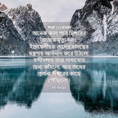 Picture 04 - যাত্ৰা 2:23 BENIRV - অনেক কাল পরে - Bible Verse Picture