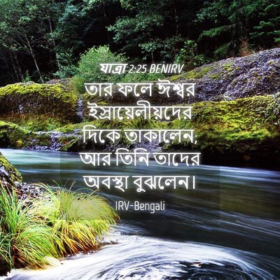 Picture 04 - যাত্ৰা 2:25 BENIRV - তার ফলে ঈশ্বর - Bible Verse Picture