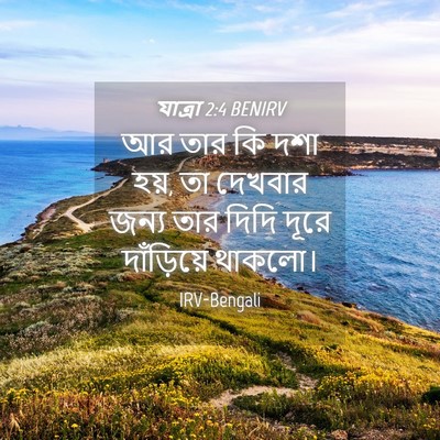 Picture 04 - যাত্ৰা 2:4 BENIRV - আর তার কি দশা হয়, - Bible Verse Picture