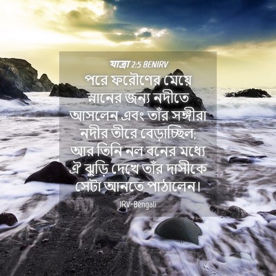Picture 04 - যাত্ৰা 2:5 BENIRV - পরে ফরৌণের মেয়ে - Bible Verse Picture