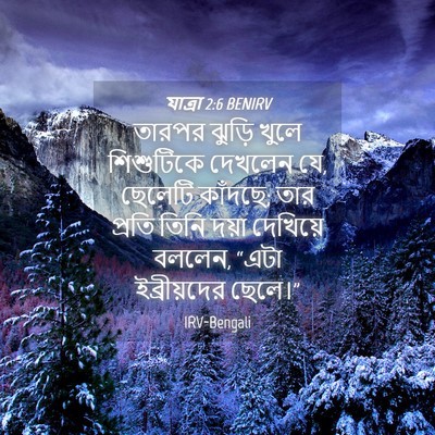 Picture 04 - যাত্ৰা 2:6 BENIRV - তারপর ঝুড়ি খুলে - Bible Verse Picture