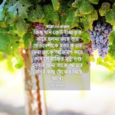 Picture 04 - যাত্ৰা 21:14 BENIRV - কিন্তু যদি কেউ - Bible Verse Picture