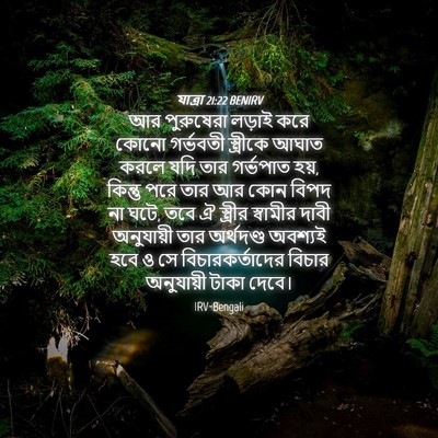 Picture 04 - যাত্ৰা 21:22 BENIRV - আর পুরুষেরা লড়াই - Bible Verse Picture