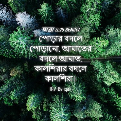 Picture 04 - যাত্ৰা 21:25 BENIRV - পোড়ার বদলে - Bible Verse Picture