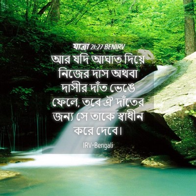 Picture 04 - যাত্ৰা 21:27 BENIRV - আর যদি আঘাত দিয়ে - Bible Verse Picture