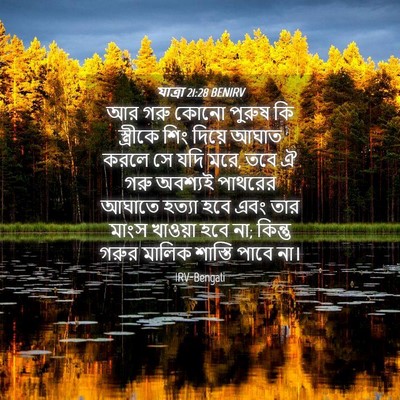 Picture 04 - যাত্ৰা 21:28 BENIRV - আর গরু কোনো পুরুষ - Bible Verse Picture
