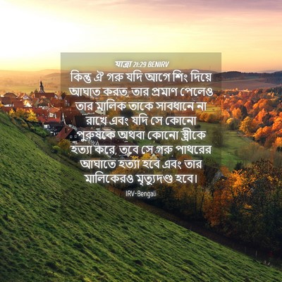 Picture 04 - যাত্ৰা 21:29 BENIRV - কিন্তু ঐ গরু যদি - Bible Verse Picture
