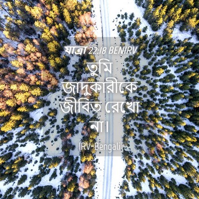Picture 04 - যাত্ৰা 22:18 BENIRV - তুমি জাদুকারীকে - Bible Verse Picture