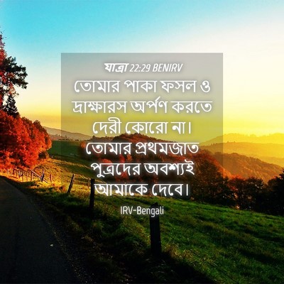 Picture 04 - যাত্ৰা 22:29 BENIRV - তোমার পাকা ফসল ও - Bible Verse Picture