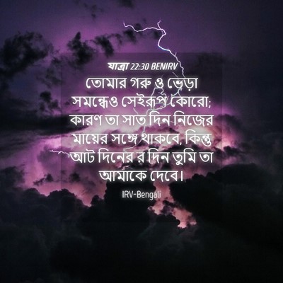 Picture 04 - যাত্ৰা 22:30 BENIRV - তোমার গরু ও ভেড়া - Bible Verse Picture