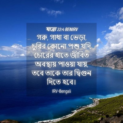 Picture 04 - যাত্ৰা 22:4 BENIRV - গরু, গাধা বা ভেড়া, - Bible Verse Picture
