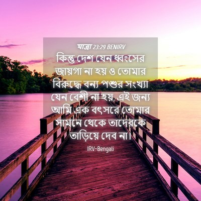 Picture 04 - যাত্ৰা 23:29 BENIRV - কিন্তু দেশ যেন - Bible Verse Picture