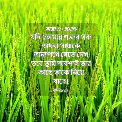 Picture 04 - যাত্ৰা 23:4 BENIRV - যদি তোমার শত্রুর - Bible Verse Picture