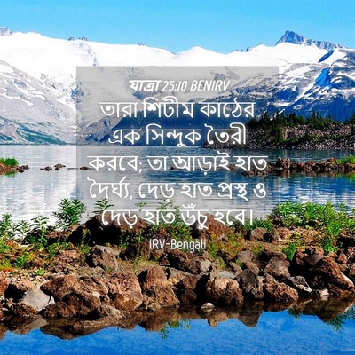 Picture 04 - যাত্ৰা 25:10 BENIRV - তারা শিটীম কাঠের - Bible Verse Picture