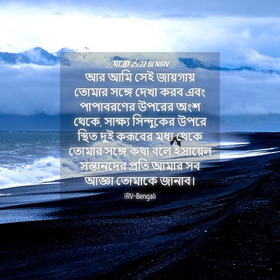 Picture 04 - যাত্ৰা 25:22 BENIRV - আর আমি সেই - Bible Verse Picture