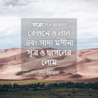 Picture 04 - যাত্ৰা 25:4 BENIRV - বেগুনে ও লাল এবং - Bible Verse Picture