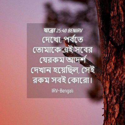 Picture 04 - যাত্ৰা 25:40 BENIRV - দেখো, পর্বতে - Bible Verse Picture