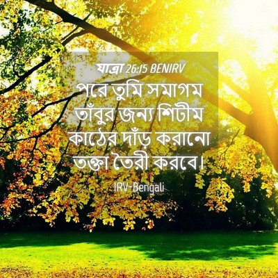 Picture 04 - যাত্ৰা 26:15 BENIRV - পরে তুমি সমাগম - Bible Verse Picture