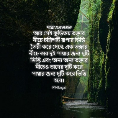 Picture 04 - যাত্ৰা 26:19 BENIRV - আর সেই কুড়িতম - Bible Verse Picture