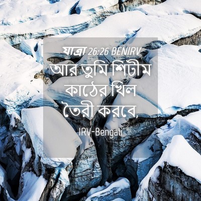 Picture 04 - যাত্ৰা 26:26 BENIRV - আর তুমি শিটীম - Bible Verse Picture