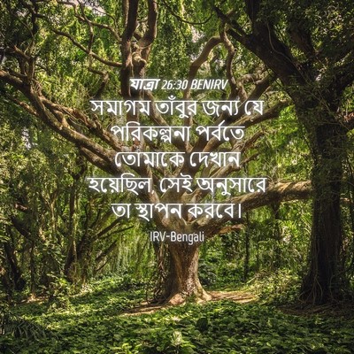 Picture 04 - যাত্ৰা 26:30 BENIRV - সমাগম তাঁবুর জন্য - Bible Verse Picture