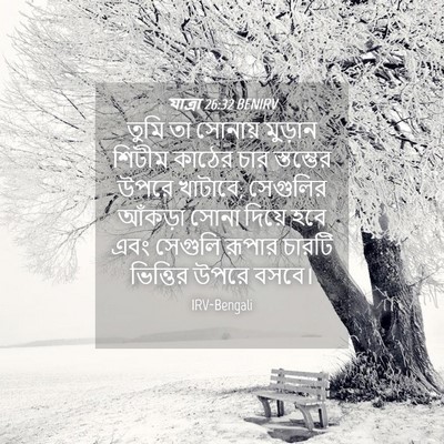 Picture 04 - যাত্ৰা 26:32 BENIRV - তুমি তা সোনায় - Bible Verse Picture