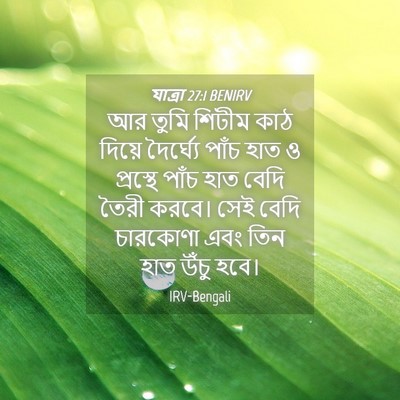 Picture 04 - যাত্ৰা 27:1 BENIRV - আর তুমি শিটীম কাঠ - Bible Verse Picture