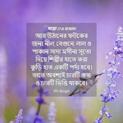 Picture 04 - যাত্ৰা 27:16 BENIRV - আর উঠানের ফটকের - Bible Verse Picture