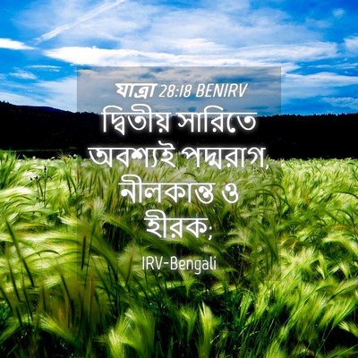 Picture 04 - যাত্ৰা 28:18 BENIRV - দ্বিতীয় সারিতে - Bible Verse Picture