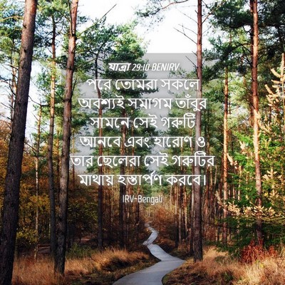 Picture 04 - যাত্ৰা 29:10 BENIRV - পরে তোমরা সকলে - Bible Verse Picture