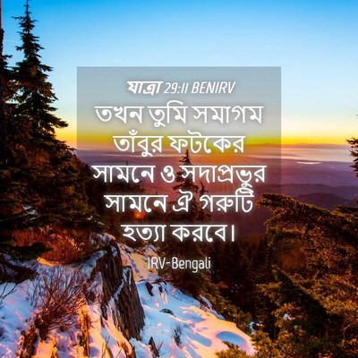 Picture 04 - যাত্ৰা 29:11 BENIRV - তখন তুমি সমাগম - Bible Verse Picture