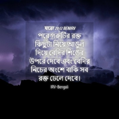 Picture 04 - যাত্ৰা 29:12 BENIRV - পরে গরুটির রক্ত - Bible Verse Picture