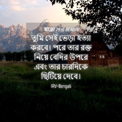 Picture 04 - যাত্ৰা 29:16 BENIRV - তুমি সেই ভেড়া - Bible Verse Picture