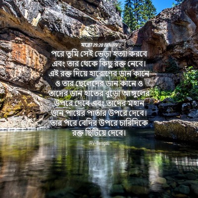 Picture 04 - যাত্ৰা 29:20 BENIRV - পরে তুমি সেই ভেড়া - Bible Verse Picture
