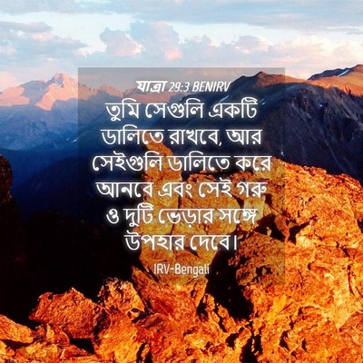 Picture 04 - যাত্ৰা 29:3 BENIRV - তুমি সেগুলি একটি - Bible Verse Picture