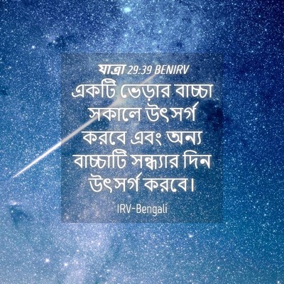 Picture 04 - যাত্ৰা 29:39 BENIRV - একটি ভেড়ার - Bible Verse Picture