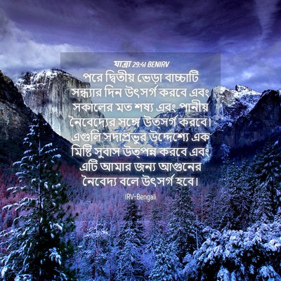 Picture 04 - যাত্ৰা 29:41 BENIRV - পরে দ্বিতীয় - Bible Verse Picture