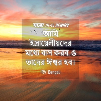 Picture 04 - যাত্ৰা 29:45 BENIRV - আমি - Bible Verse Picture