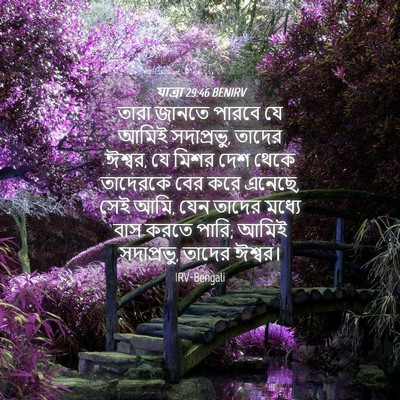 Picture 04 - যাত্ৰা 29:46 BENIRV - তারা জানতে পারবে - Bible Verse Picture