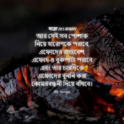 Picture 04 - যাত্ৰা 29:5 BENIRV - আর সেই সব পোশাক - Bible Verse Picture