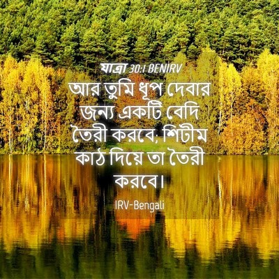 Picture 04 - যাত্ৰা 30:1 BENIRV - আর তুমি ধূপ দেবার - Bible Verse Picture