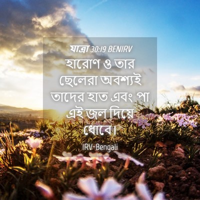 Picture 04 - যাত্ৰা 30:19 BENIRV - হারোণ ও তার ছেলেরা - Bible Verse Picture
