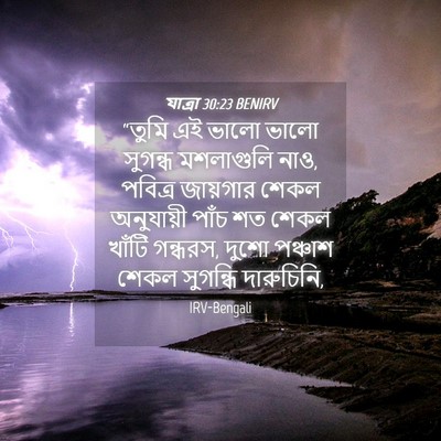 Picture 04 - যাত্ৰা 30:23 BENIRV - “তুমি এই ভালো ভালো - Bible Verse Picture