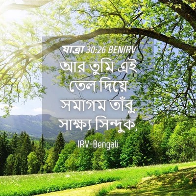 Picture 04 - যাত্ৰা 30:26 BENIRV - আর তুমি এই তেল - Bible Verse Picture