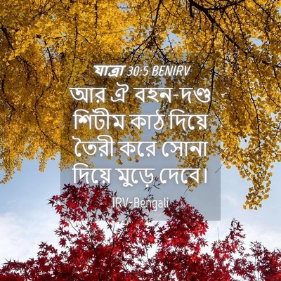 Picture 04 - যাত্ৰা 30:5 BENIRV - আর ঐ বহন-দণ্ড শিটীম - Bible Verse Picture