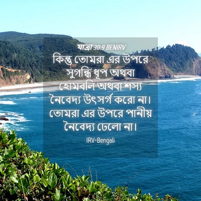 Picture 04 - যাত্ৰা 30:9 BENIRV - কিন্তু তোমরা এর - Bible Verse Picture