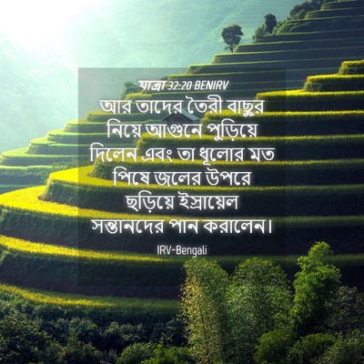 Picture 04 - যাত্ৰা 32:20 BENIRV - আর তাদের তৈরী - Bible Verse Picture